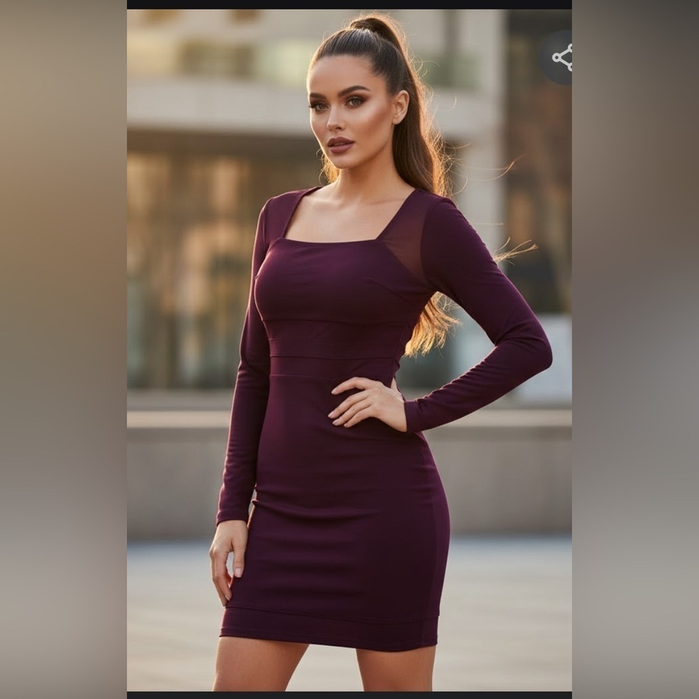 Chic Long Sleeve Plum Dress